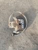 Суппорт тормозной, задний, левый MR510541 MITSUBISHI