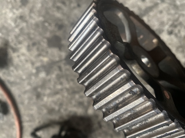 261845 RENAULT купить в Запорожье
