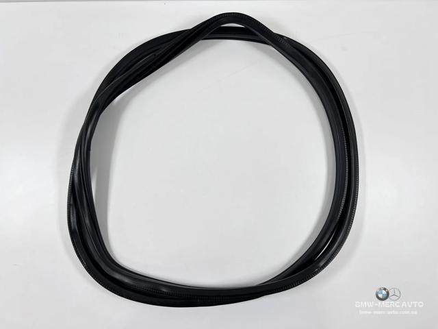 Уплотнитель двери передней, на (кузове) 51767220381 BMW