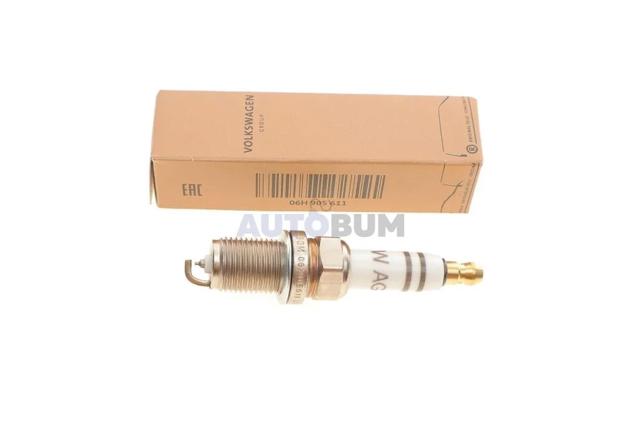 VAG 06H905611 Свечи зажигания в наличии Кривой Рог