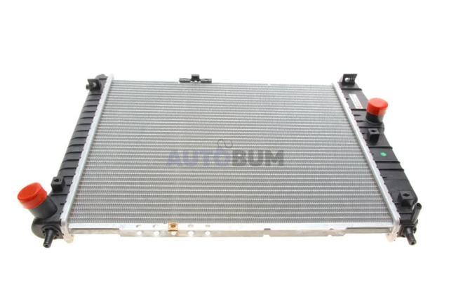 VAN WEZEL 81002066 Радиатор охлаждения двигателя в наличии Ровно