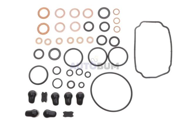Ремкомплект топливного насоса H146600112 BOSCH