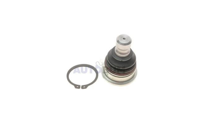 VKDS815001 SKF Шаровая опора нижняя купить в Хмельницкий