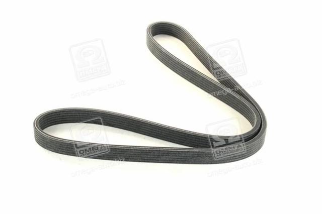 VKMV6DK1195 SKF Ремень генератора купить в Винница