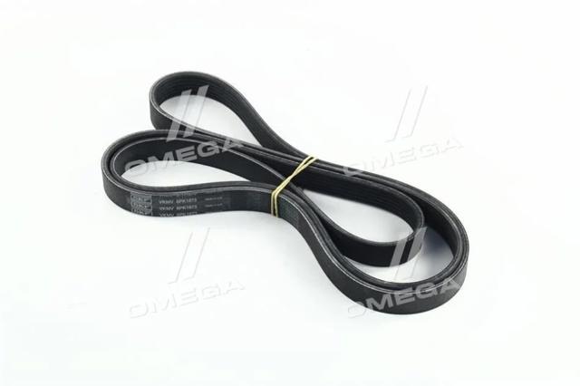 VKMV6PK1873 SKF Ремень агрегатов приводной купить в Сумы