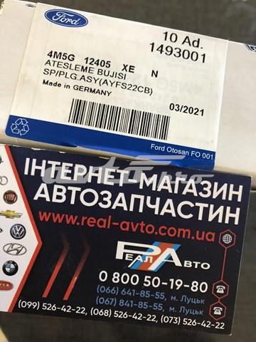 1493001 Свечи зажигания купить Запорожье