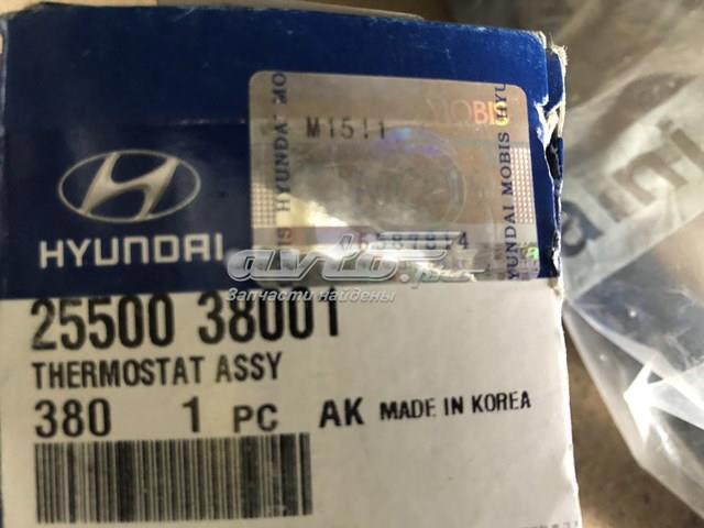 2550038001 HYUNDAI Термостат купить в Львов
