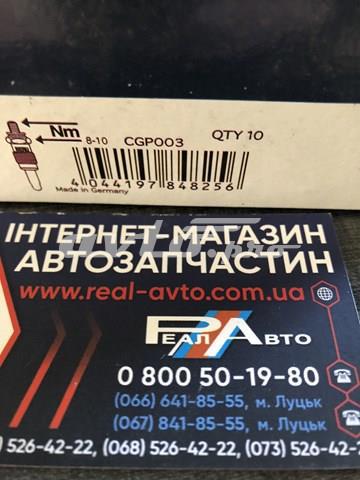 BERU CGP003 Свечи накала в наличии Ровно