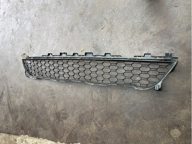 51118069887 BMW Решетка бампера переднего нижняя купить в Ирпень