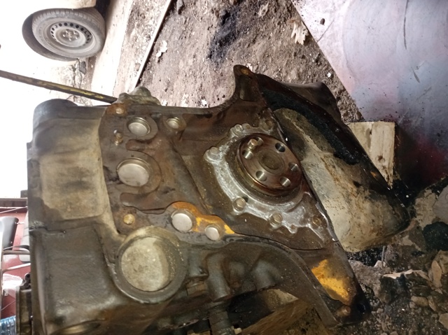 101033S900 NISSAN купить в Хмельницкий