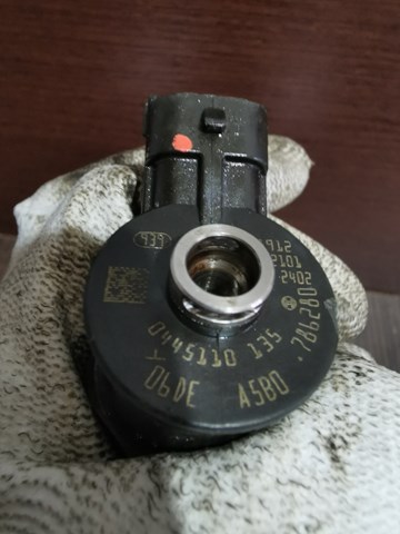 0445110135 BOSCH Топливные форсунки купить в Черновцы