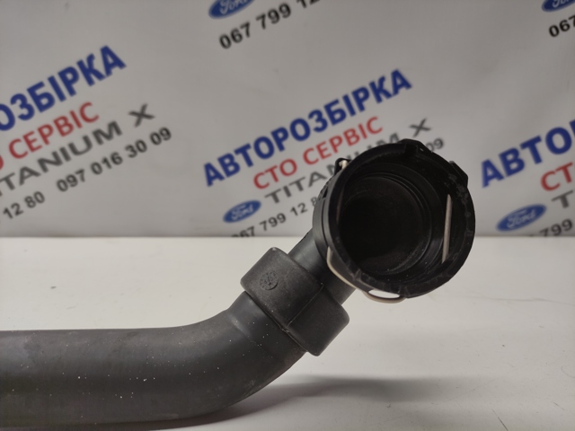 1570799 Шланг (патрубок) радиатора охлаждения верхний купить Черновцы