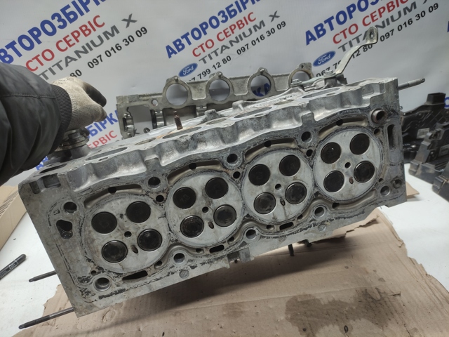 FORD 1683822 Головка блока цилиндров (ГБЦ) в наличии Украина