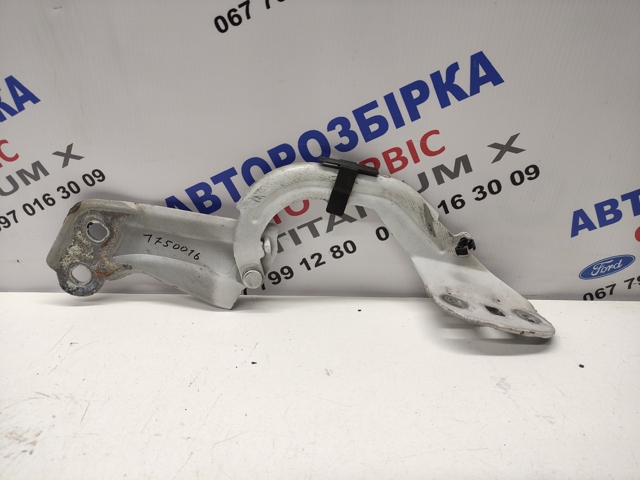 Петля капота, правая 1750016 FORD