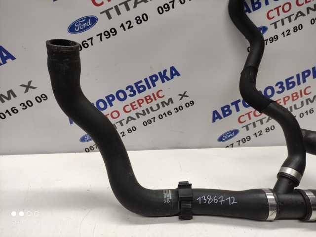 3M5H8286MD FORD Нижний шлаг радиатора охлаждения купить в Хмельницкий