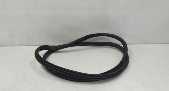 51727440034 BMW Уплотнитель двери задней (на двери) купить в Сумы