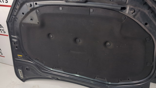 5GM863831 Шумоизоляция капота купить Запорожье