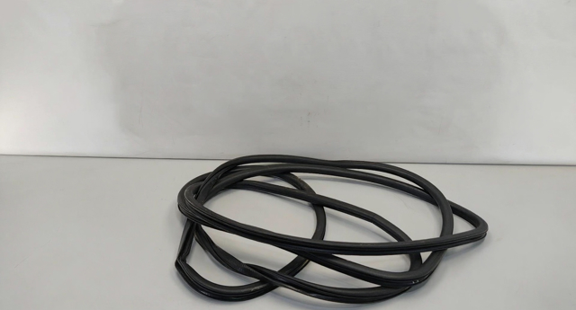 CHRYSLER 68145007AB Уплотнитель двери передней (на кузове) в наличии Житомир