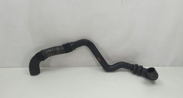 CV6Z6C646A FORD купить в Сумы