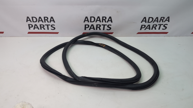 FORD FT4Z5820708B Уплотнитель двери передней (на кузове) в наличии Ужгород