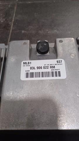 03L906022RM VAG Блок управления двигателем купить в Черкассы