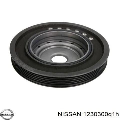 NISSAN 1230300Q1H Шкив коленвала в наличии Павлоград