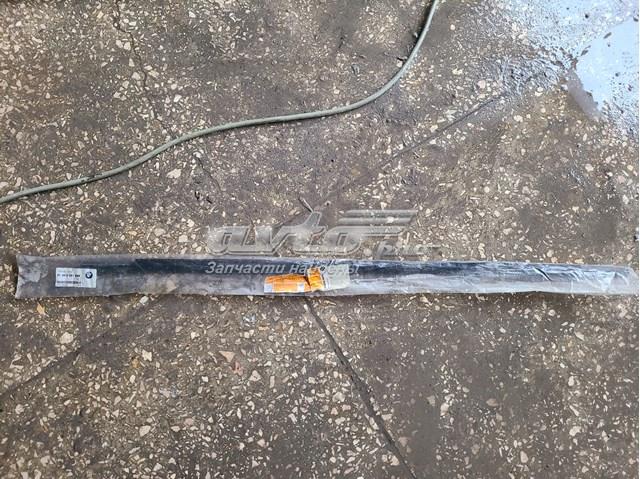 51348251596 BMW Молдинг опускного стекла двери задней правой купить в Сумы