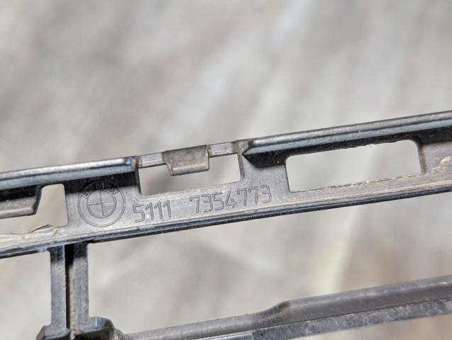 51117354773 BMW Решетка бампера переднего центральная купить в Ирпень