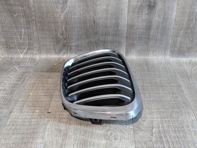 BMW 51137354823 Решетка радиатора левая в наличии Кривой Рог