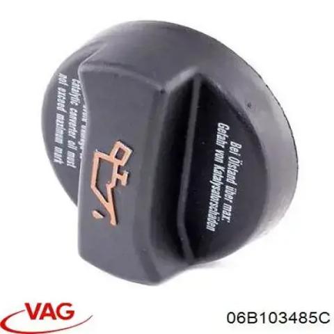 VAG 06B103485C Крышка маслозаливной горловины в наличии Одесса