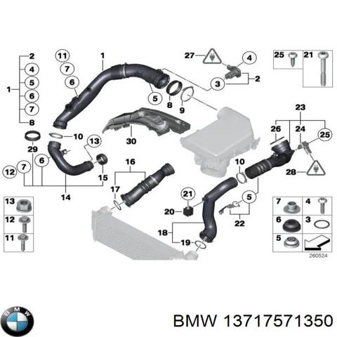 13717571350 BMW Патрубок интеркулера купить в Николаев