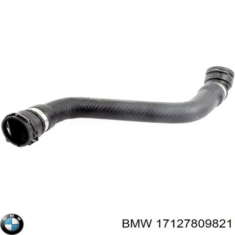 BMW 17127809821 Шланг (патрубок) радиатора охлаждения нижний в наличии Каменское