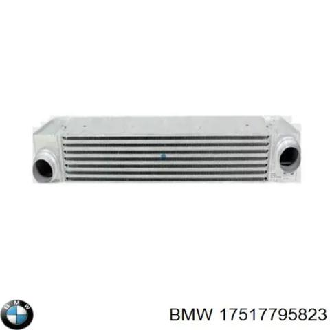 Система охлаждения наддувочного воздуха 17517795823 BMW