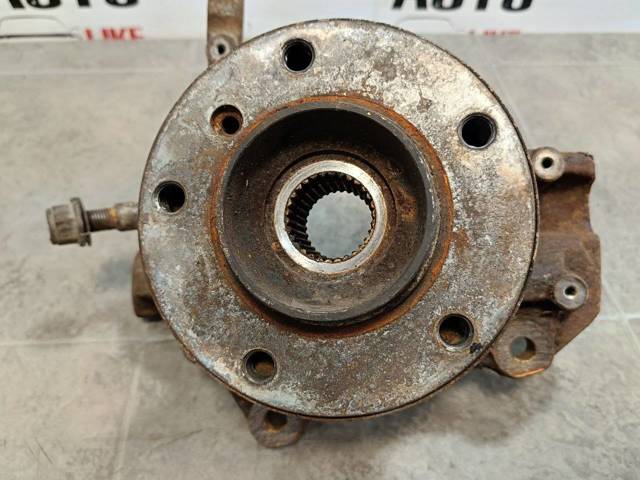 31216768315 BMW Цапфа передняя левая купить в Кривой Рог