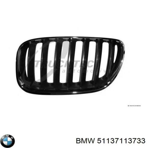 Решетка радиатора левая 51137113733 BMW