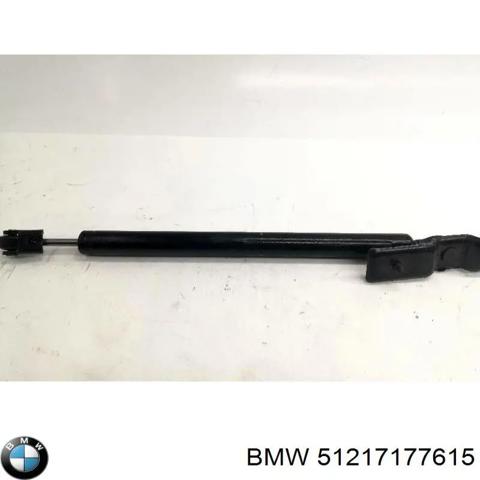 Ограничитель открывания двери, передний левый 51217177615 BMW