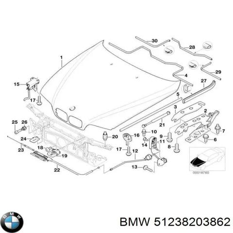 Запор капота (замок и привод замка капота) 51238203862 BMW