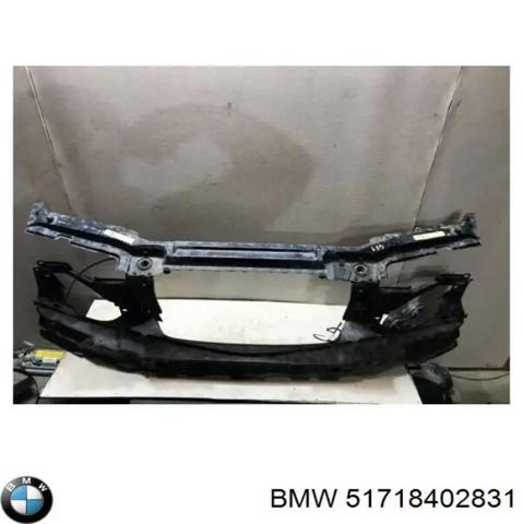 Буфер бампера переднего 51718402831 BMW