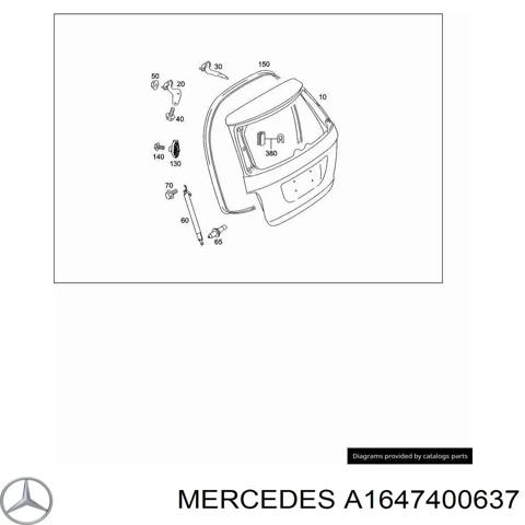 A1647400637 MERCEDES Петля крышки багажника купить в Хмельницкий