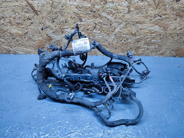 Электропроводка моторного тсека 06L971595DJ VAG