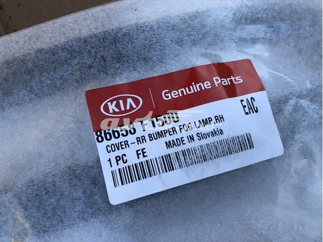 86658F1500 Ободок (окантовка) фары противотуманной задней правой купить Чернигов