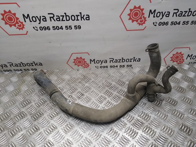 044121101L Патрубок радиатора купить Полтава