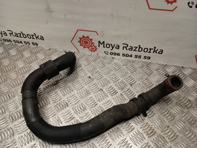 215013745R Шланг (патрубок) радиатора охлаждения верхний купить Кривой Рог