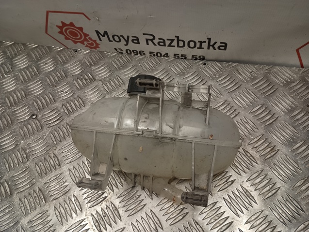 217101893R купить Павлоград