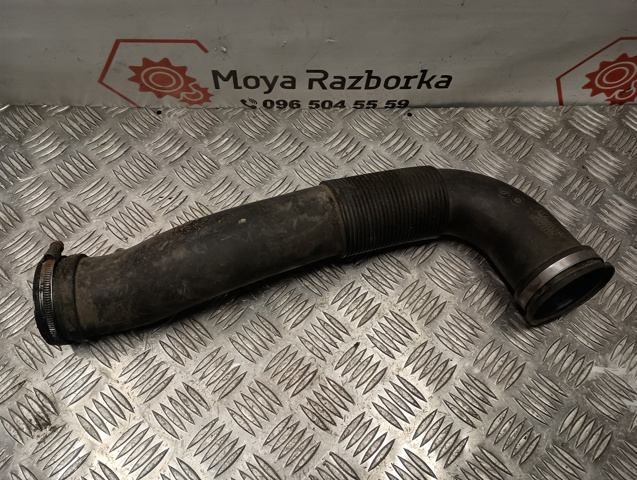 OPEL 55559548 в наличии Житомир