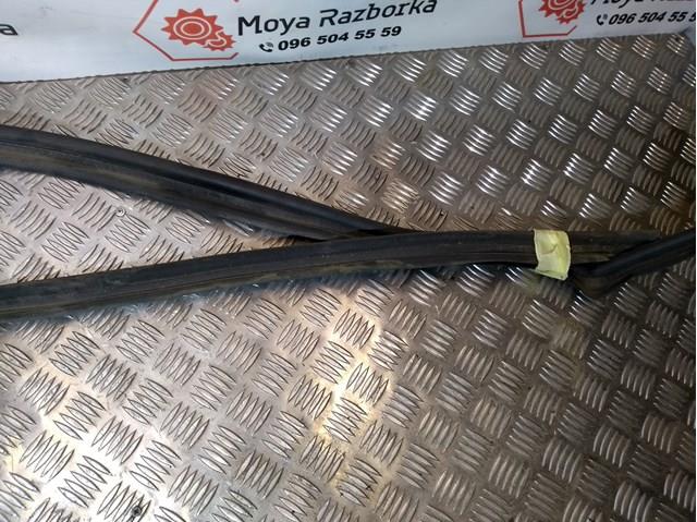 7700313534 RENAULT Уплотнитель капота купить в Полтава