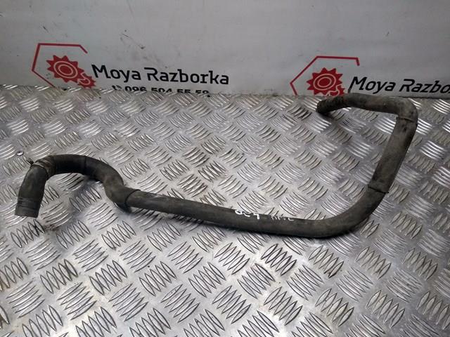 8200596824 Нижний шлаг радиатора охлаждения купить Украина
