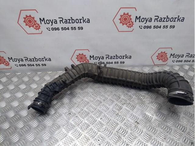 8200607744 RENAULT купить в Каменское