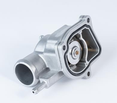 Термостат в сборе 41196387D WAHLER