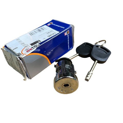 DP GROUP DP483 Личинка замка зажигания в наличии Ужгород